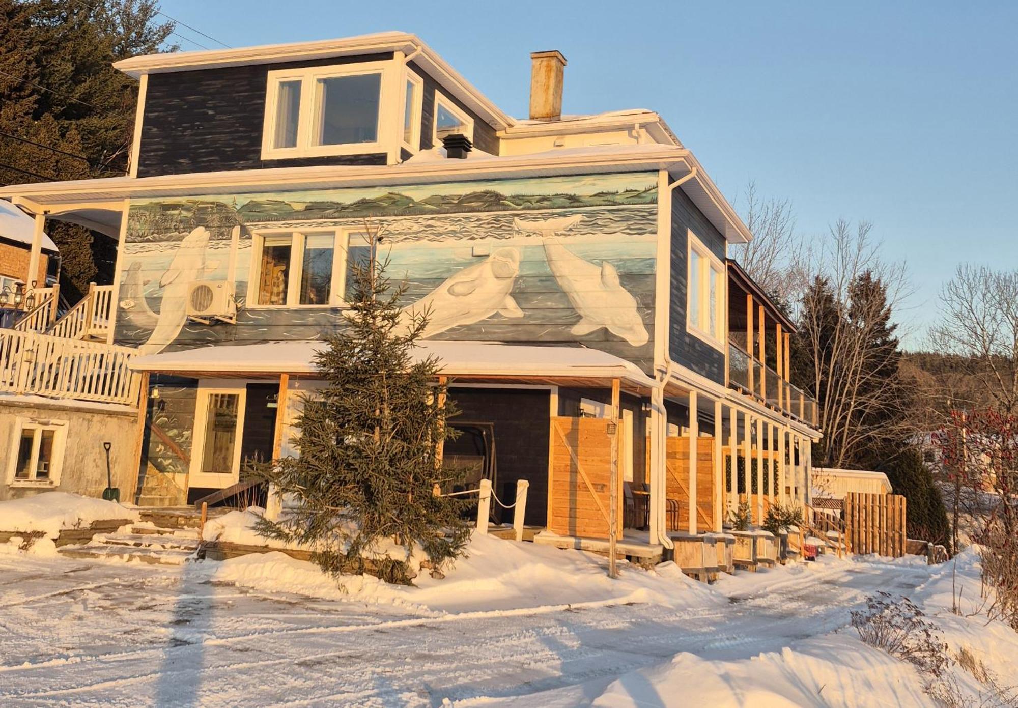 Suite 2 Fleche Du Fjord Vue Saguenay Mont Valin Saint-Fulgence Exterior photo